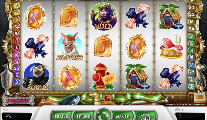 Diamond Dogs Slot